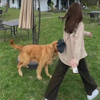 辣手惩凶